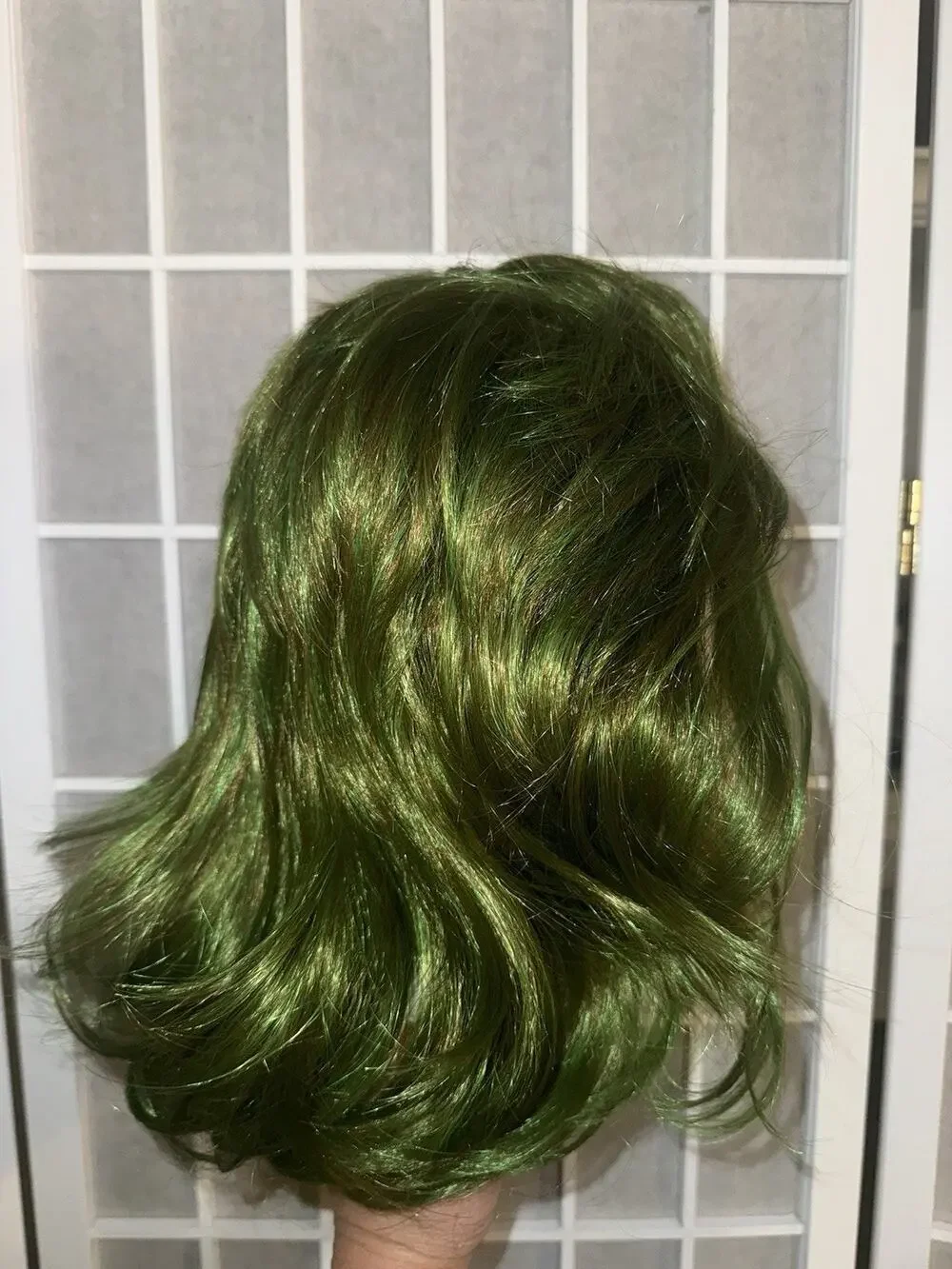 Green Joker Mad Clown Cosplay Adult Wig With Makeup Brand New Short Curly
